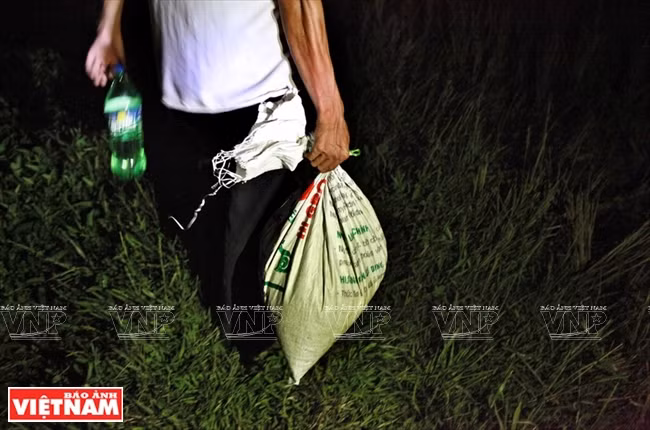 Cả làng đổ xô đi làm giàu nhờ nghề "săn" châu chấu kỳ lạ ảnh 10