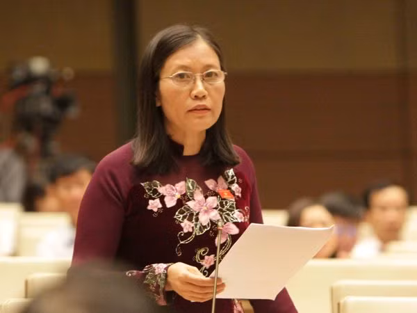 Đại biểu Quốc hội: Không vay ODA để chi thường xuyên ảnh 1