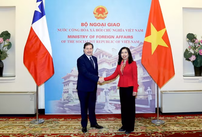 Tham khảo chính trị lần VII giữa hai Bộ Ngoại giao Việt Nam-Chile ảnh 2