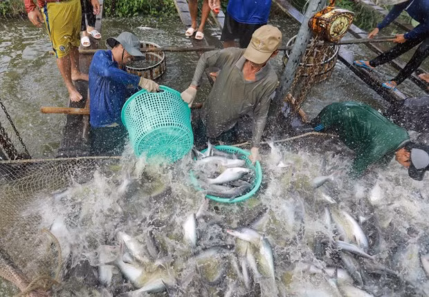 An Giang: Nhiều chỉ số kinh tế-xã hội quý 1 chuyển biến tích cực ảnh 1