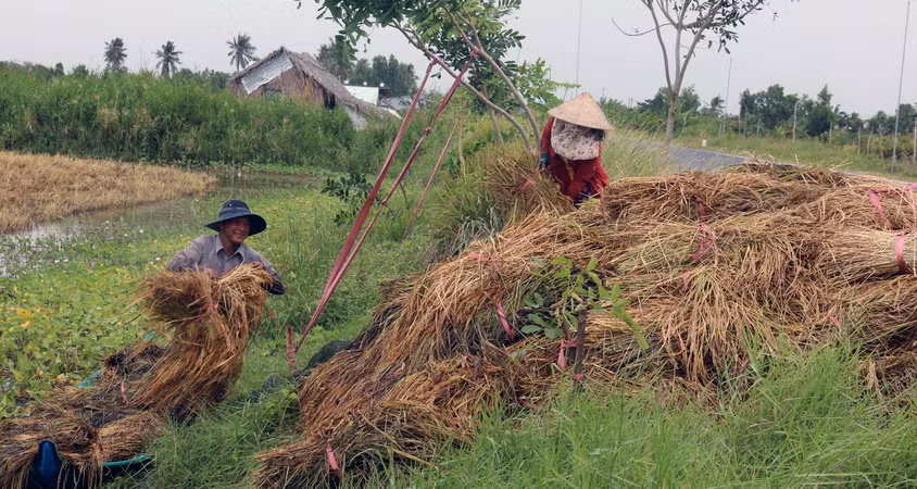 Kiên Giang cho toàn bộ học sinh, sinh viên nghỉ học 2 ngày tránh bão ảnh 3