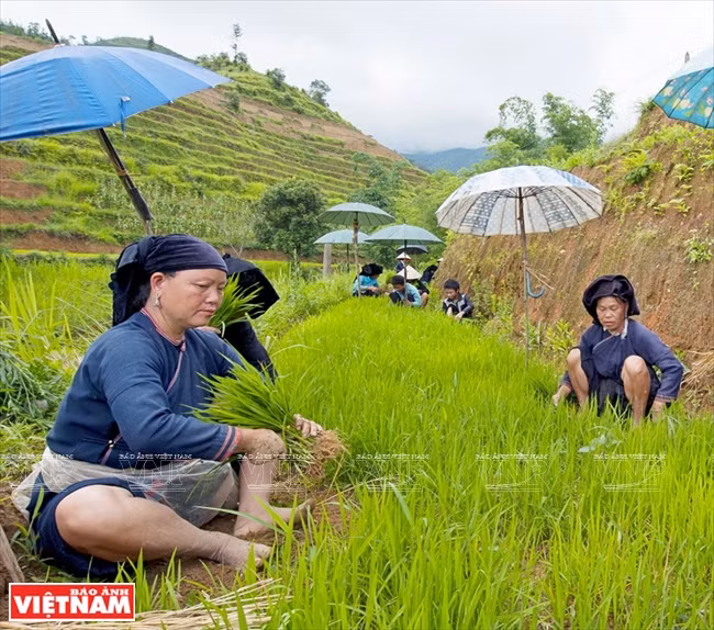 Chiêm ngưỡng vẻ đẹp mê hoặc của vùng đá núi kỳ vĩ Hà Giang ảnh 15