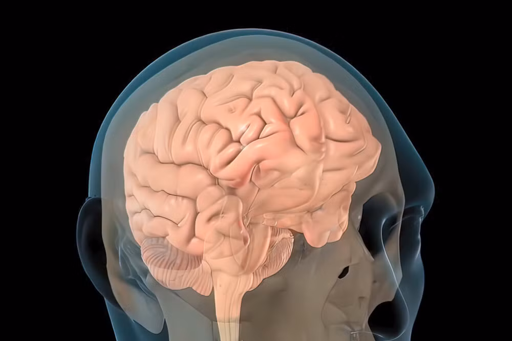 Ứng dụng AI cải thiện trí nhớ cho bệnh nhân bị chấn thương sọ não ảnh 1