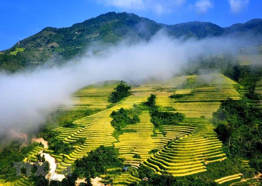 Điểm đến tuyệt vời vào mùa Thu ở châu Á: Điểm tên Sa Pa và Cần Thơ ảnh 4