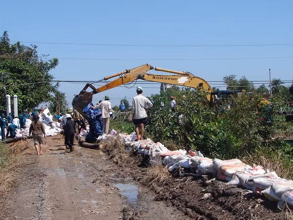 Sóc Trăng: Cù Lao Dung khắc phục xong đê bao bị vỡ ảnh 1
