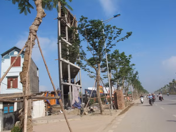 Xây dựng đô thị Thủ đô: Bài 2 - Những “mảng vàng” cần tô lại ảnh 1