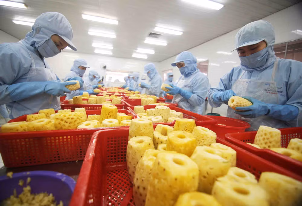 Xuất khẩu nông nghiệp kỳ vọng đạt mục tiêu 44 tỷ USD trong năm 2021 ảnh 1