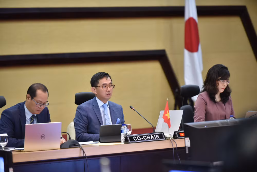 Thúc đẩy triển khai các hoạt động và dự án hợp tác ASEAN-Nhật Bản ảnh 1
