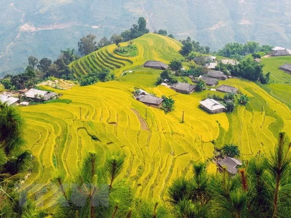 Sức hút lễ hội du lịch mùa thu ở vùng núi cao của Lào Cai ảnh 1