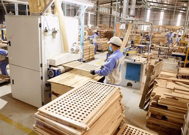Đẩy mạnh phát triển sản xuất, chế biến, tiêu thụ và xuất khẩu nông sản ảnh 4