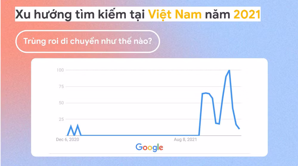 COVID-19 là chủ đề được người Việt tìm kiếm nhiều nhất trên Google ảnh 4