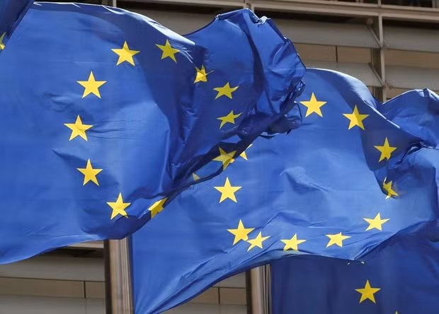 ZEW đánh giá thận trọng về triển vọng phục hồi kinh tế Eurozone ảnh 1