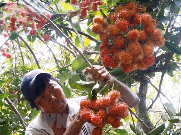 Sự kiện trong nước 9-15/4: Tín hiệu tích cực từ kinh tế, du lịch ảnh 5