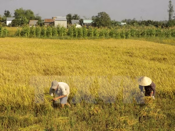 Mười sự kiện khoa học và công nghệ tiêu biểu trong năm 2016 ảnh 3