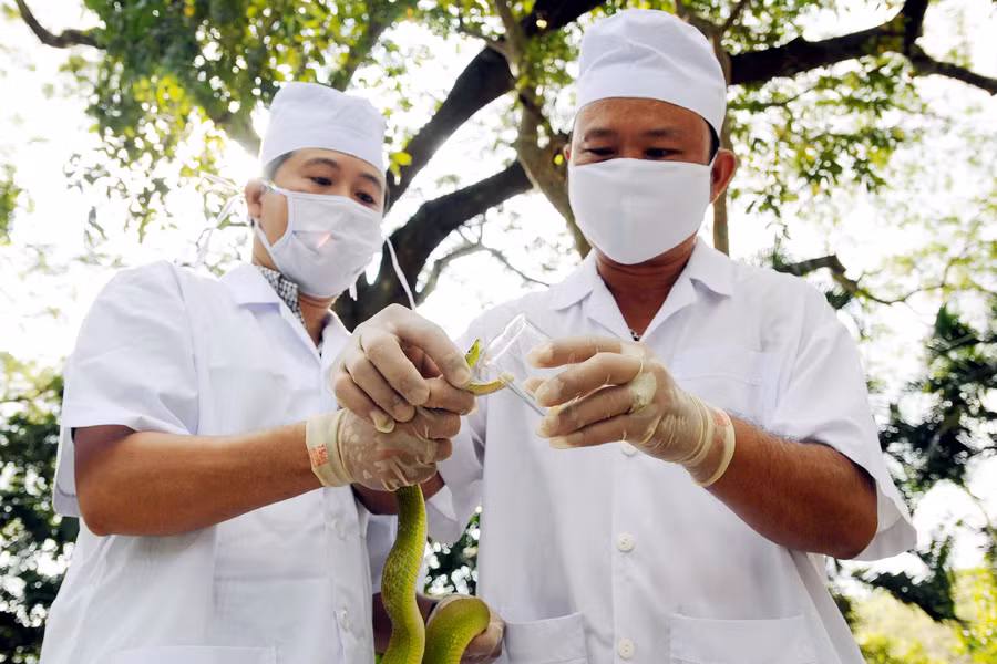 Mười sự kiện khoa học và công nghệ tiêu biểu trong năm 2016 ảnh 5