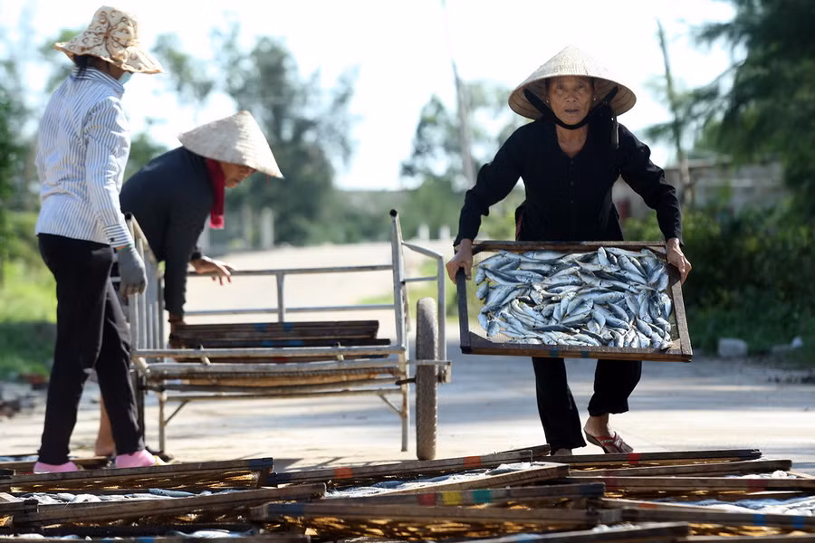 Phó Thủ tướng chỉ đạo xử lý hải sản tồn kho sau sự cố môi trường biển ảnh 1