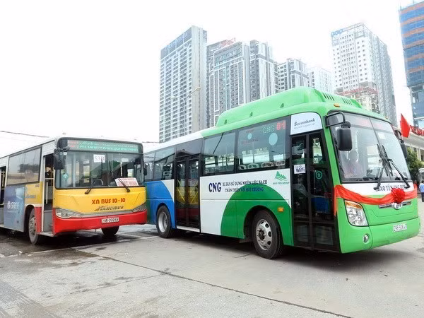 Đấu thầu cung cấp dịch vụ để người dân không 'quay lưng' với xe buýt? ảnh 1