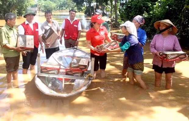 Hội Chữ thập Đỏ Việt Nam cứu trợ khẩn cấp các tỉnh Tây Nguyên, Nam Bộ ảnh 1