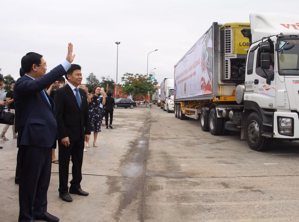 Xác định thị trường để tìm đầu ra cho sản phẩm nông nghiệp ảnh 2