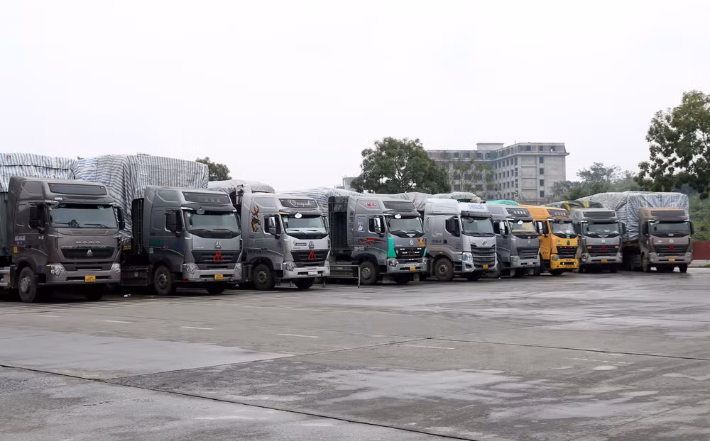 Nông sản Việt đến khi nào mới hết 'phập phồng' đầu ra? ảnh 1