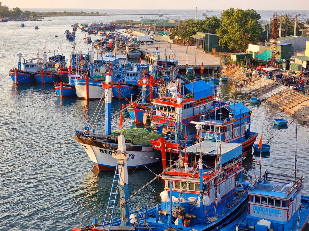 ttxvn_IUU ninh thuan 2.jpg