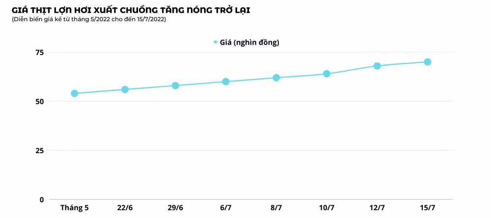 Người tiêu dùng tìm cách đổi thực đơn khi giá thịt lợn tăng 'phi mã" ảnh 1