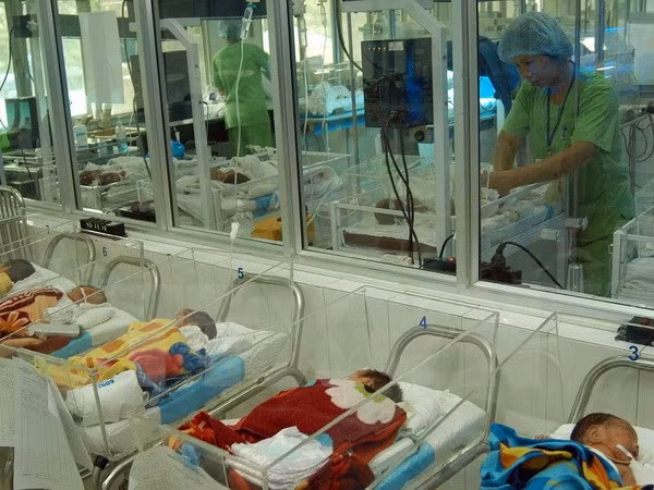 Báo động mức sinh thay thế của Thành phố Hồ Chí Minh quá thấp ảnh 1