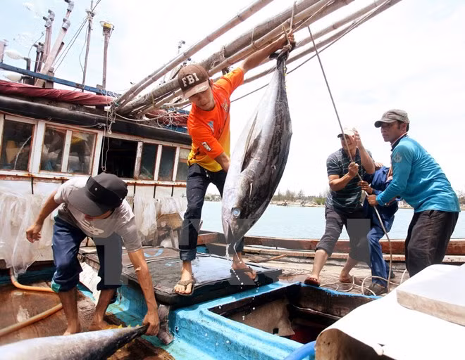 Nhiều mặt hàng thủy, hải sản ở tỉnh Bạc Liêu tăng giá mạnh ảnh 1