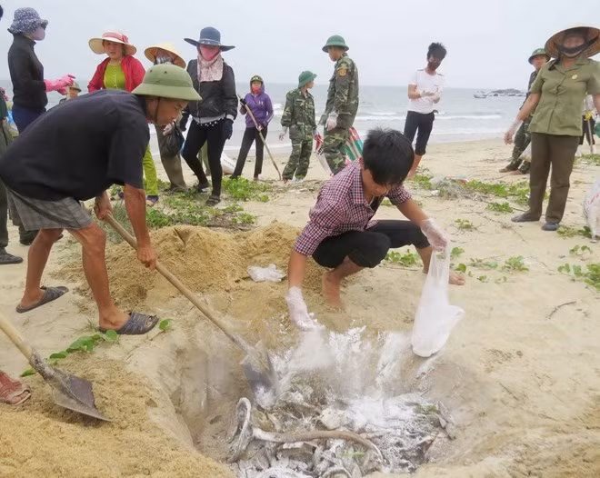 Đồng loạt tổng kiểm tra toàn bộ môi trường Khu kinh tế Vũng Áng ảnh 1