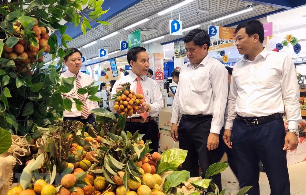 Giữ vững và phát triển nông sản được bảo hộ sở hữu trí tuệ ảnh 2
