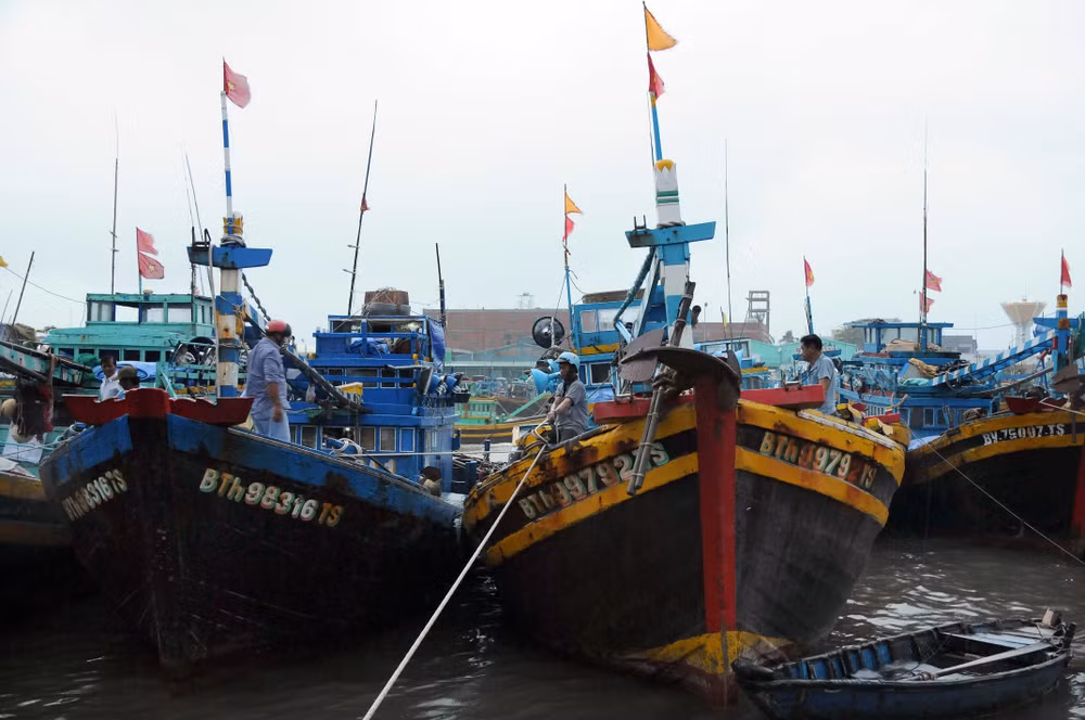 Các tỉnh từ Bình Thuận đến Bến Tre đề phòng có gió giật mạnh ảnh 1