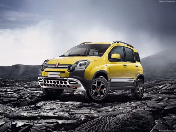 Lộ diện mẫu xe hầm hố Panda Cross của hãng xe Fiat ảnh 1