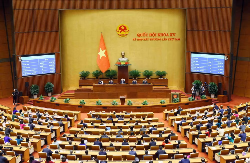 ttxvn_quoc hoi thong qua nghi quyet 2.jpg