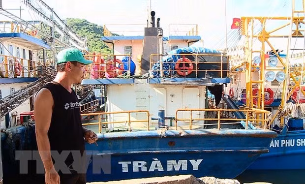 Bình Định: "Tàu 67" nằm bờ không mua được bảo hiểm, ngư dân điêu đứng ảnh 1