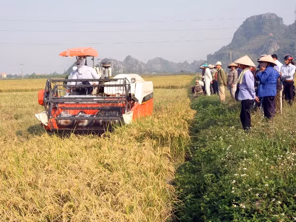 Kêu gọi các nhà tài trợ quốc tế tiếp tục hỗ trợ tái cơ cấu nông nghiệp ảnh 1