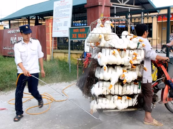 Triển khai tháng vệ sinh, tiêu độc khử trùng đợt 2 trên toàn quốc ảnh 1