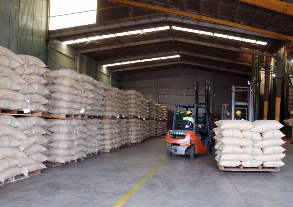 Hiệp định EVFTA: Gia Lai xuất khẩu lô càphê đầu tiên sang châu Âu ảnh 1