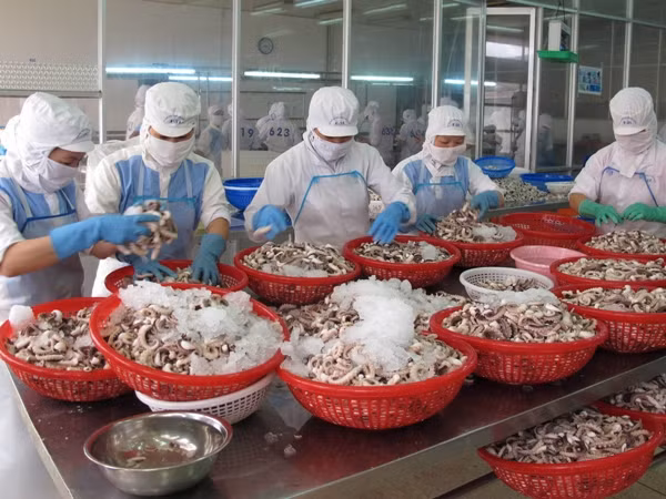 HSBC: Kinh tế Việt Nam sẽ tươi sáng hơn trong ngắn hạn ảnh 1