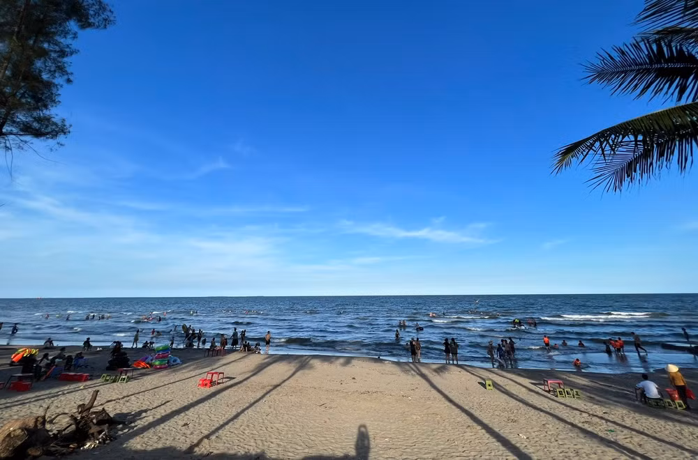 vnp_thanh hoa.jpg