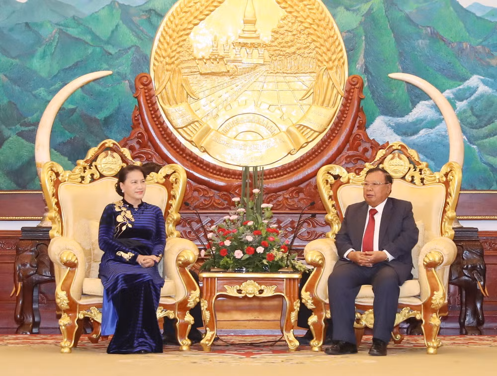 Chủ tịch Quốc hội chào xã giao Tổng Bí thư, Chủ tịch nước Lào ảnh 1