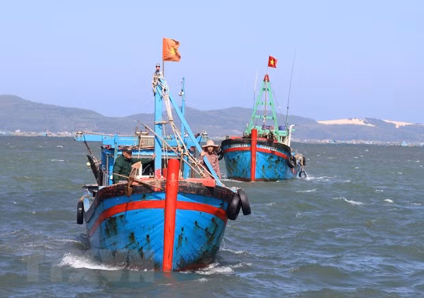 'Thẻ vàng' IUU: Kiên Giang hướng tới xóa dứt điểm tình trạng vi phạm ảnh 1