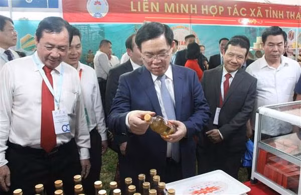 Khai mạc Hội chợ Xúc tiến thương mại hợp tác xã năm 2019 ảnh 2
