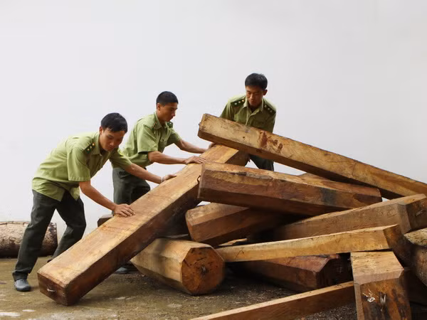 Đắk Lắk: Báo động tình trạng xâm hại Khu bảo tồn thiên nhiên Ea Sô ảnh 1