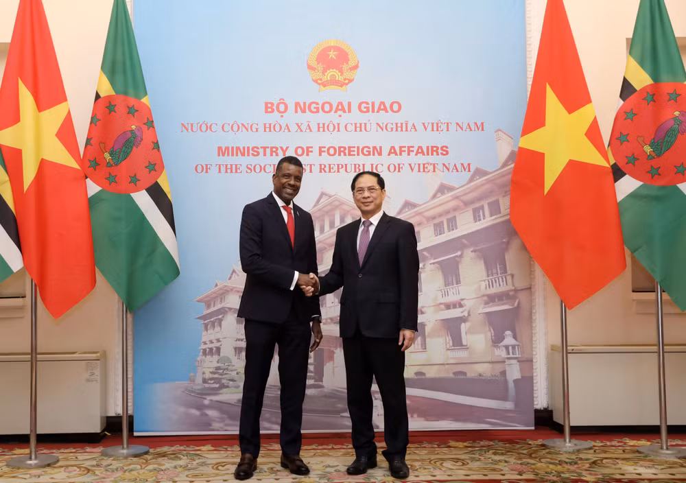 Tăng cường hơn nữa quan hệ hữu nghị, hợp tác Việt Nam-Dominica ảnh 1