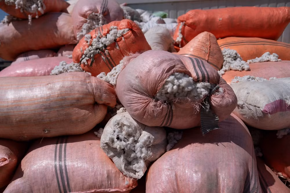 taliban thuoc phien 3.jpg