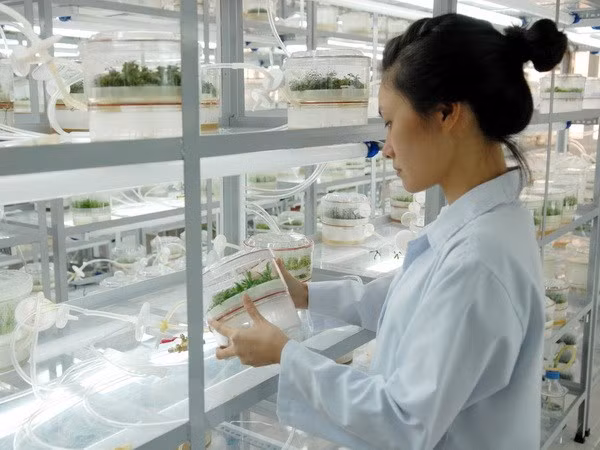Phát triển khoa học công nghệ phục vụ công nghiệp hóa, hiện đại hóa ảnh 1