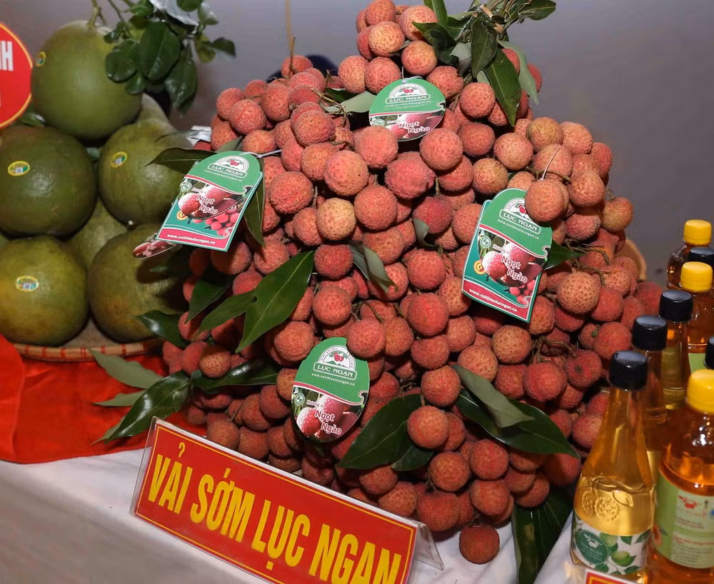 vai_thieu_luc_ngan.jpg