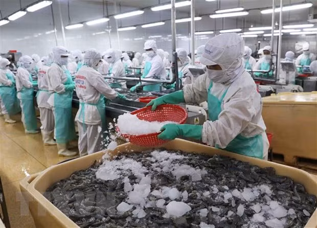 Hiệp định RCEP tạo hiệu ứng tích cực cho xuất khẩu thủy sản VN ảnh 1