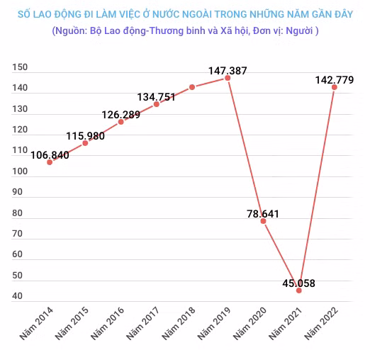 Xuất khẩu lao động phục hồi với 142.000 người ra nước ngoài làm việc ảnh 2