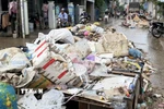 Hàng trăm tấn rác trôi dạt trong vùng ngập lũ của phường Tuy Hòa. (Ảnh: Tường Quân/TTXVN)